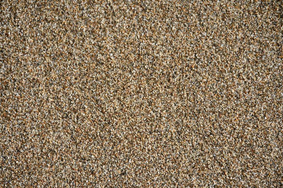Blogger writing about Berber carpet selection and care