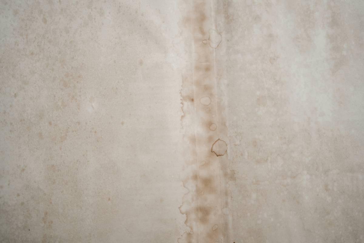 Close-up diagram showing looped vs. cut pile carpet fibers highlighting why berber traps surface debris