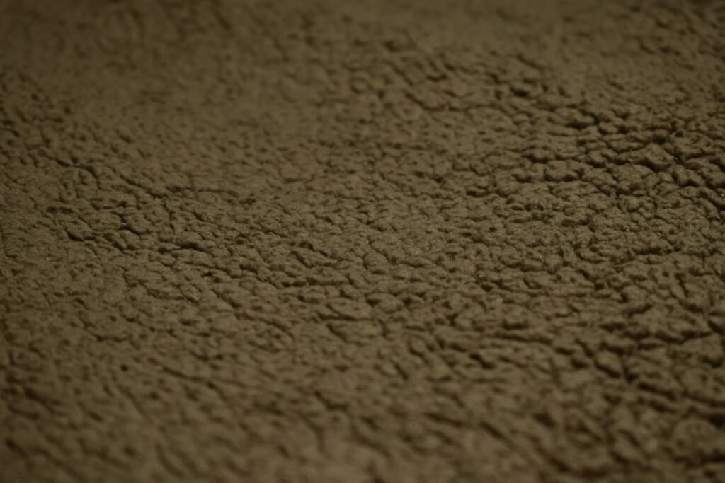 Home Comfort Berber Carpet Benefit of: Why This Loop-Pile Legend Still Rules Your Living Room