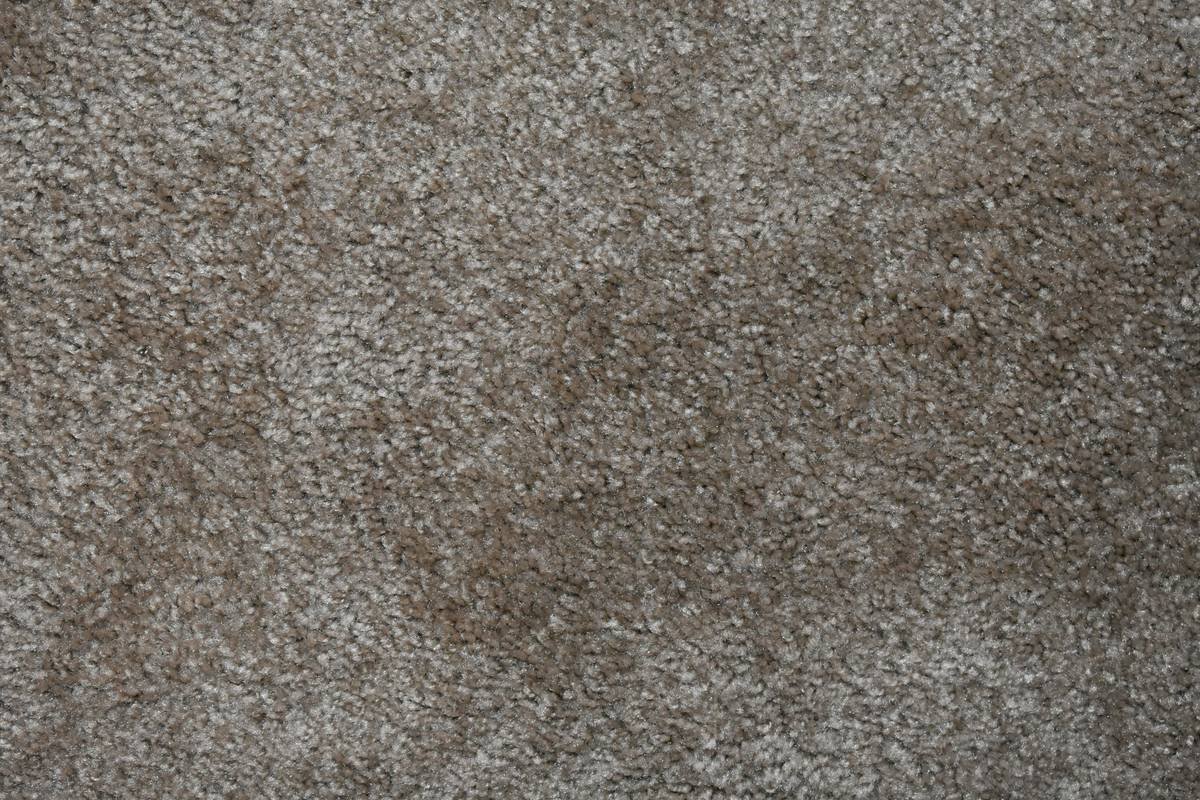 Is Berber Textured Patterned Carpet the Secret Weapon for Your High-Traffic Home?