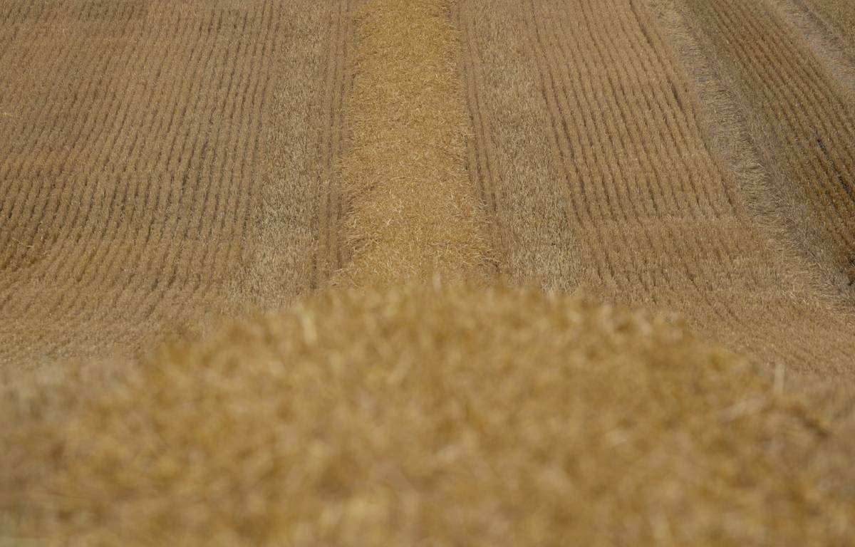 Side-by-side comparison: textured fabric berber (multi-level loops) vs. standard berber (flat loops) showing resilience under foot traffic