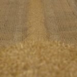 Berber Carpet Diamond Pattern: The Timeless Floor Fix Most Contractors Overlook