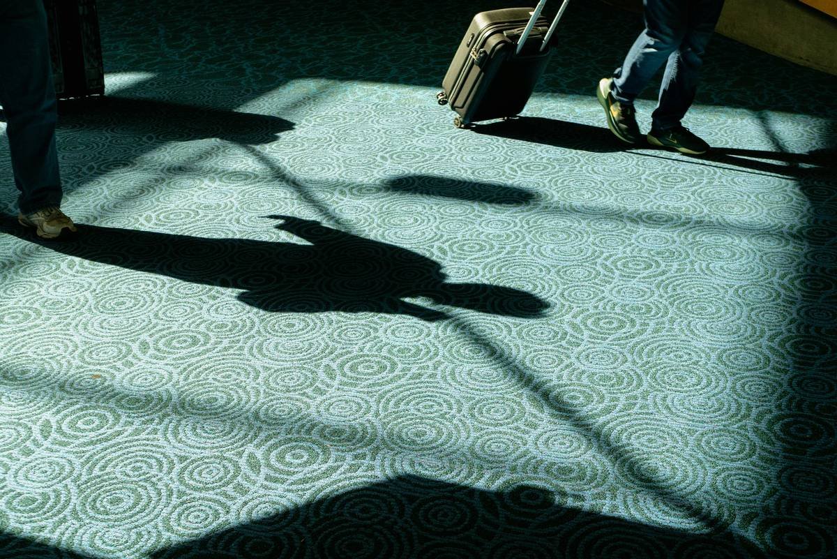 Why Tight Looped Berber Type Carpets Are the Secret Weapon for High-Traffic Homes (and Where Most People Go Wrong)